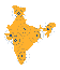Customised Financial Model